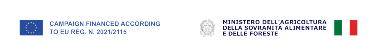 OCM Logo